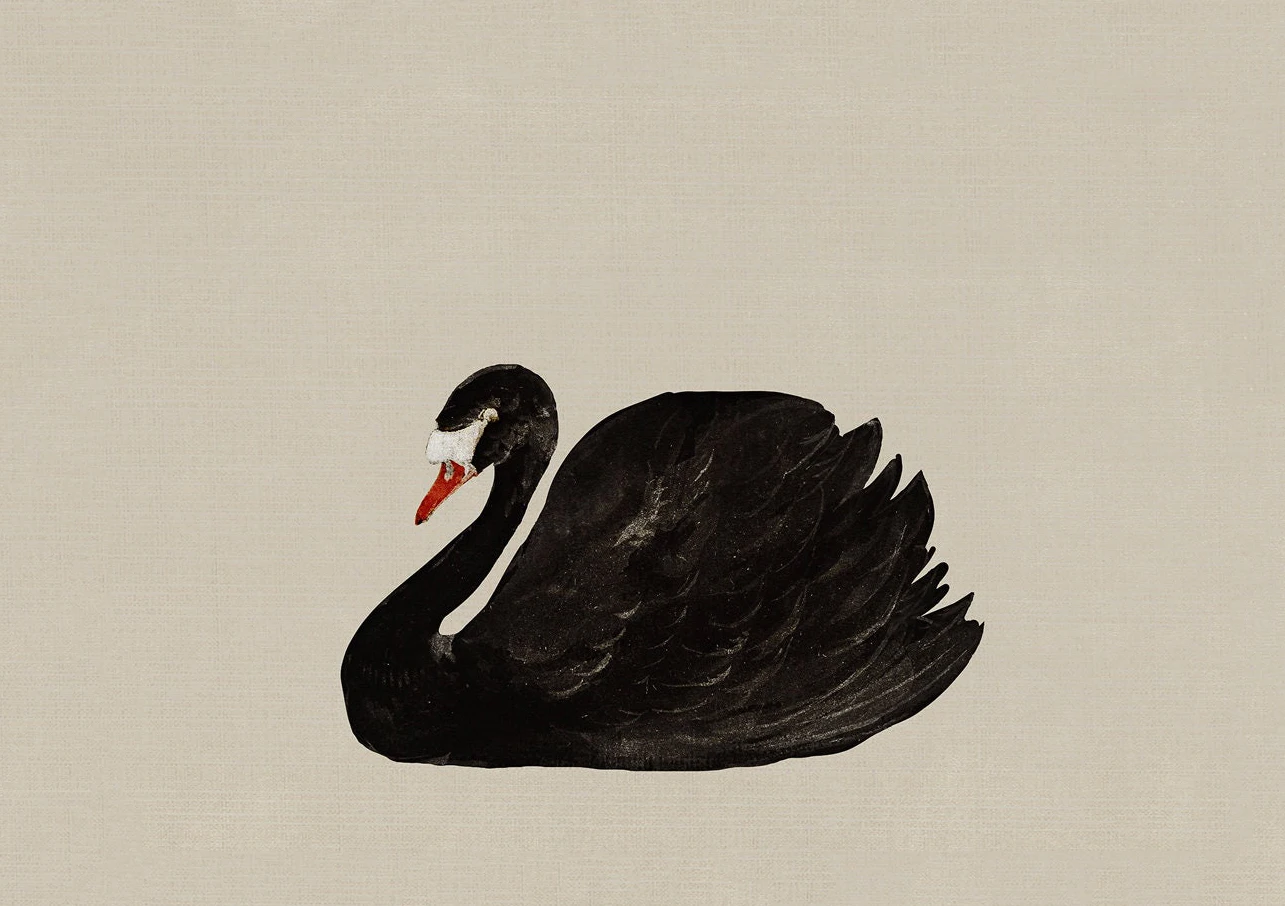 Łabędź akwarela - minimalistyczny plakat vintage Biały