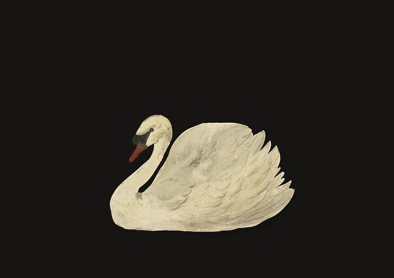 Łabędź akwarela - minimalistyczny plakat vintage żółty