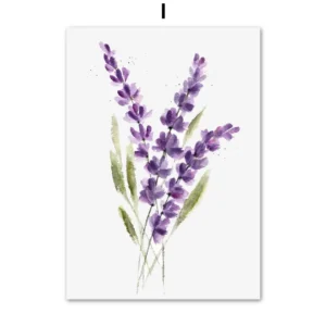 Lawenda w stylu akwareli - plakat botaniczny Beżowy