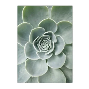 Plakat botaniczny z agawą i kaktusem - linie Biały