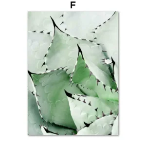 Plakat tropikalny agawa, monstera i sukulenty Jasnoszary