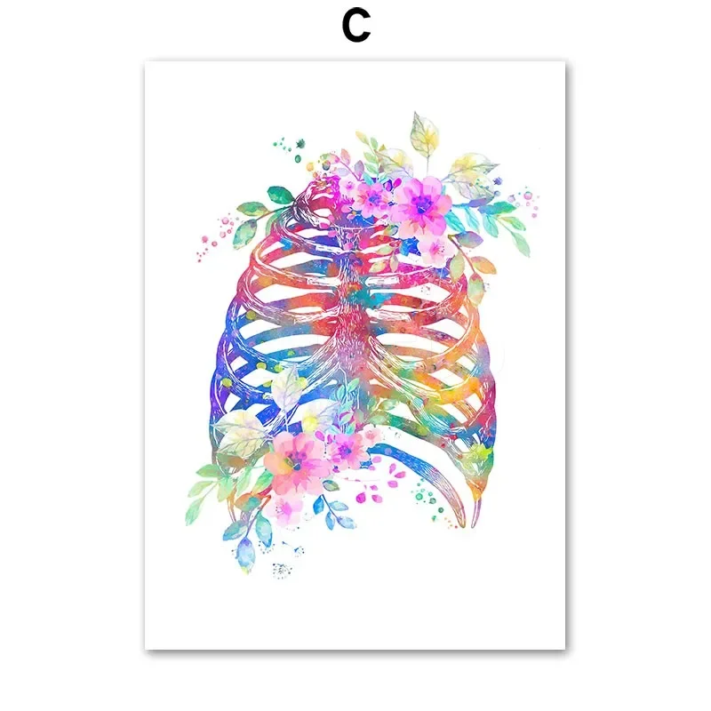 Plakat anatomiczny - narządy w kwiatach Czerwony