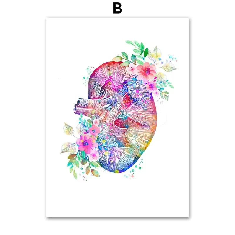 Plakat anatomiczny - narządy w kwiatach żółty