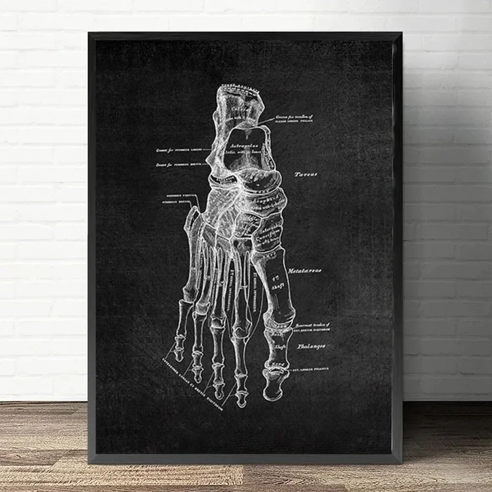 Plakat anatomiczny serca i płuc Czarny