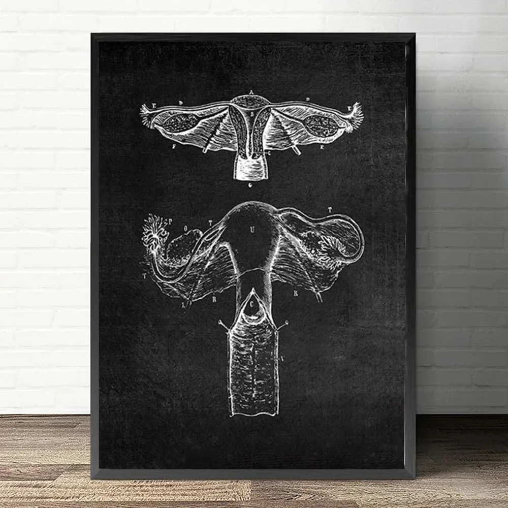 Plakat anatomiczny serca i płuc Jasny