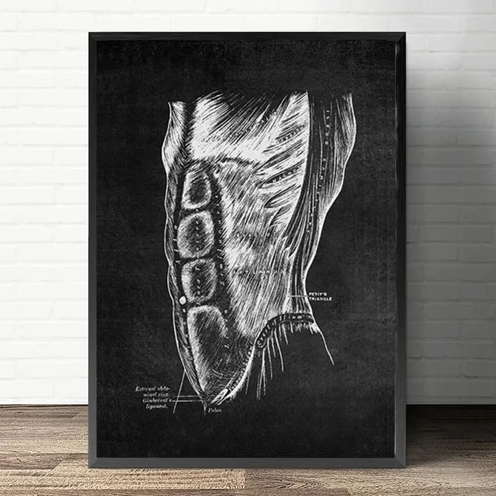 Plakat anatomiczny serca i płuc Niebieski