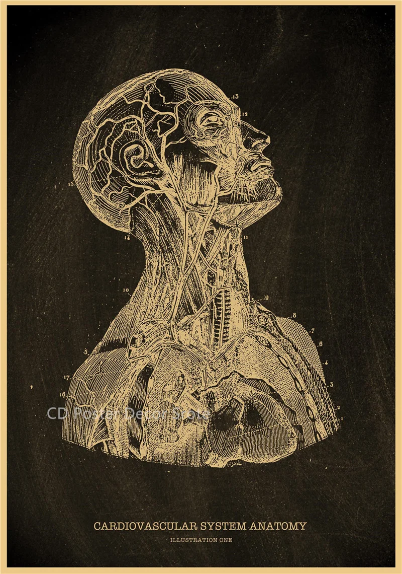 Plakat anatomiczny - szkielet człowieka żółty