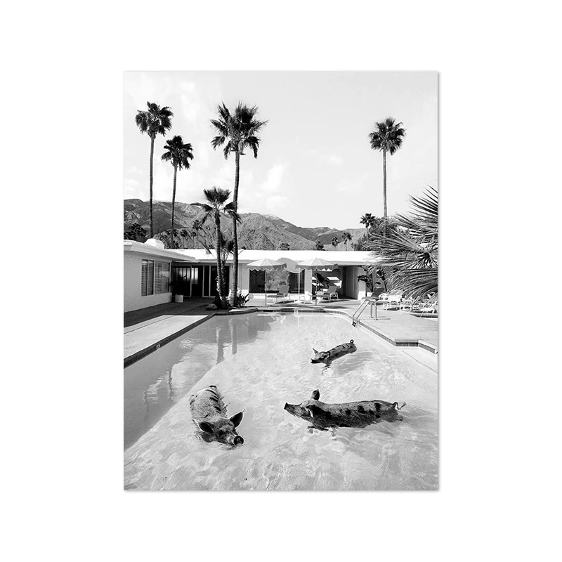 Plakat czarno-biały - basen Palm Springs vintage Jasny