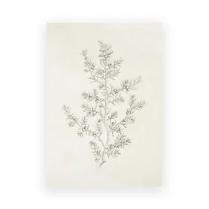 Brzoza - vintage plakat botaniczny Ciemny szary