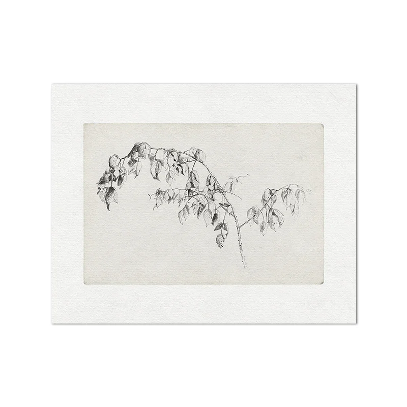Brzoza - vintage plakat botaniczny Fioletowy/фиолетовый