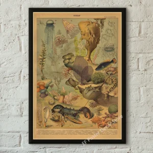 Botaniczny plakat retro z grzybami Armijna zieleń
