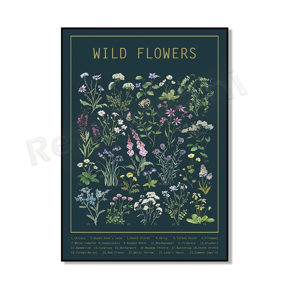 Plakat botaniczny zielnik polnych roślin żółty