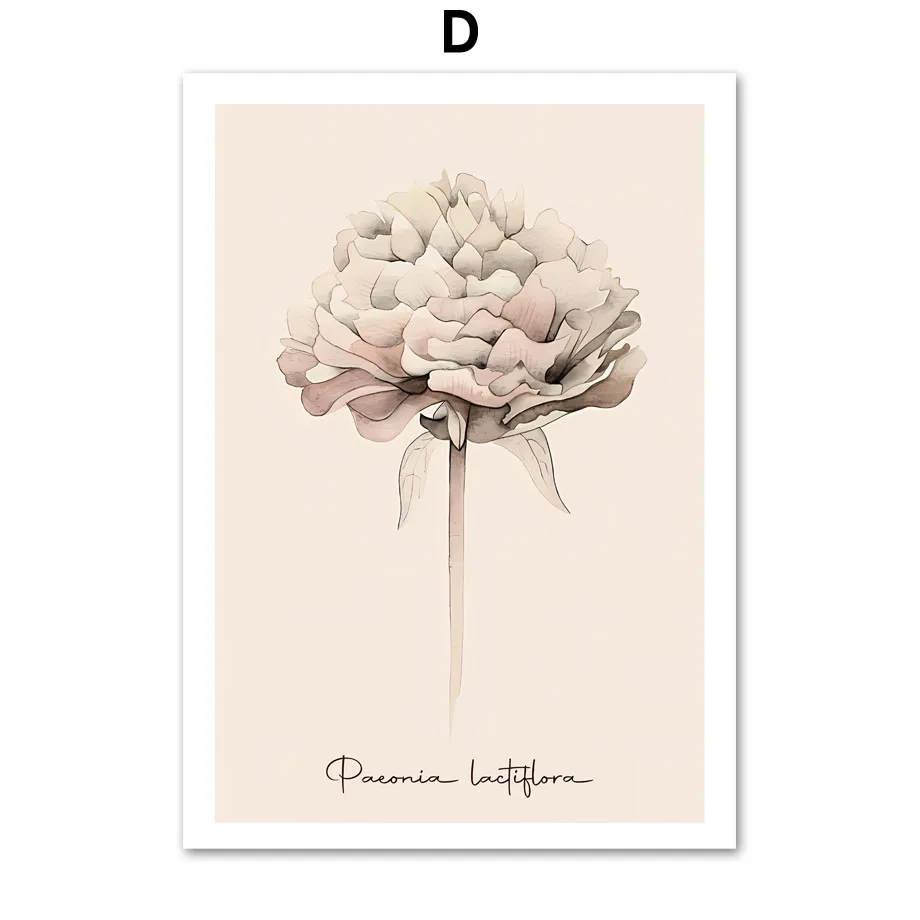 Plakat dmuchawiec minimalizm boho Burgundia