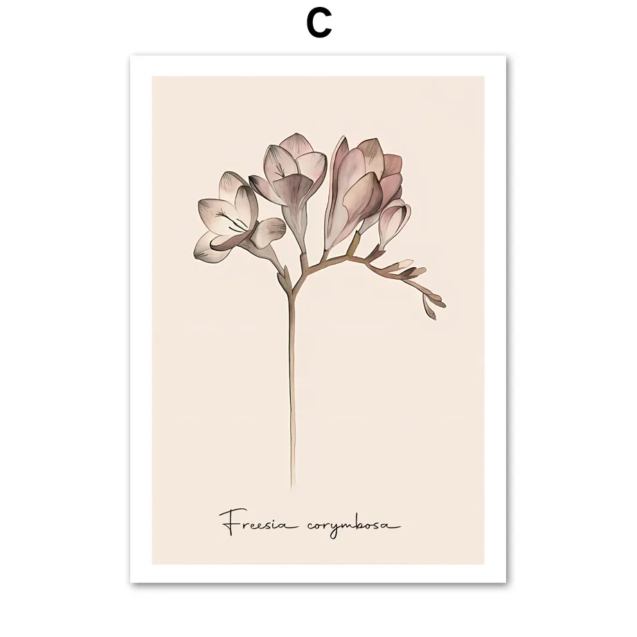 Plakat dmuchawiec minimalizm boho Czerwony