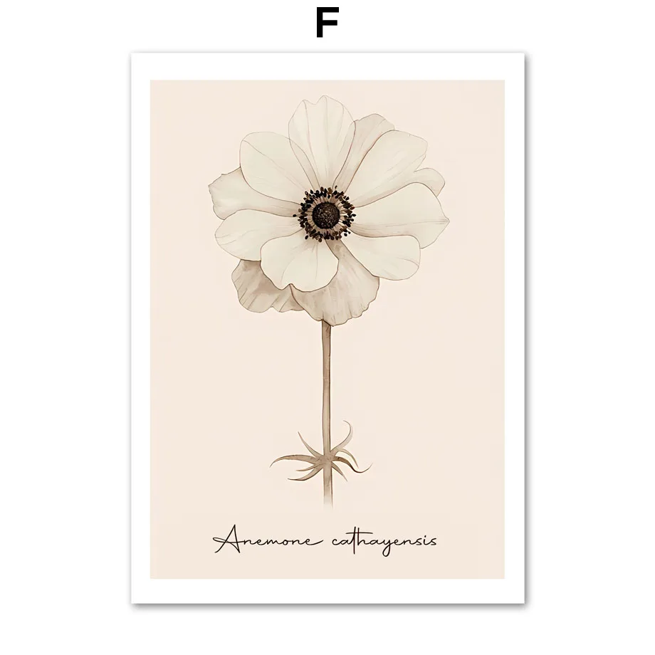 Plakat dmuchawiec minimalizm boho Jasnoszary
