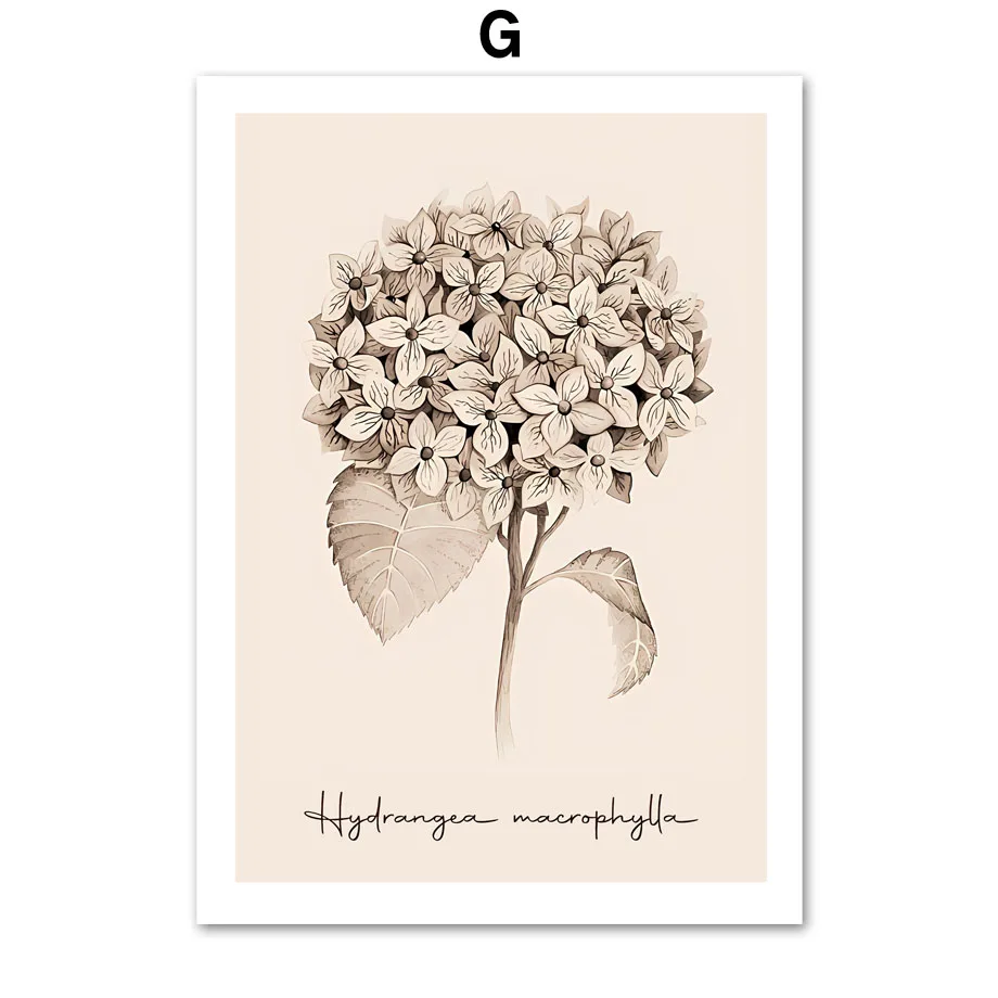 Plakat dmuchawiec minimalizm boho Zielony