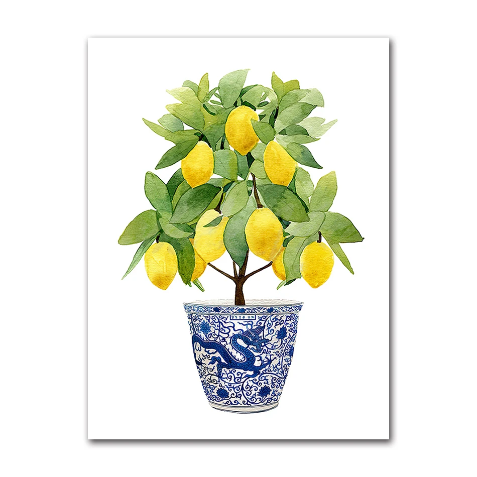 Plakat do kuchni - bonsai cytrynowe Biały