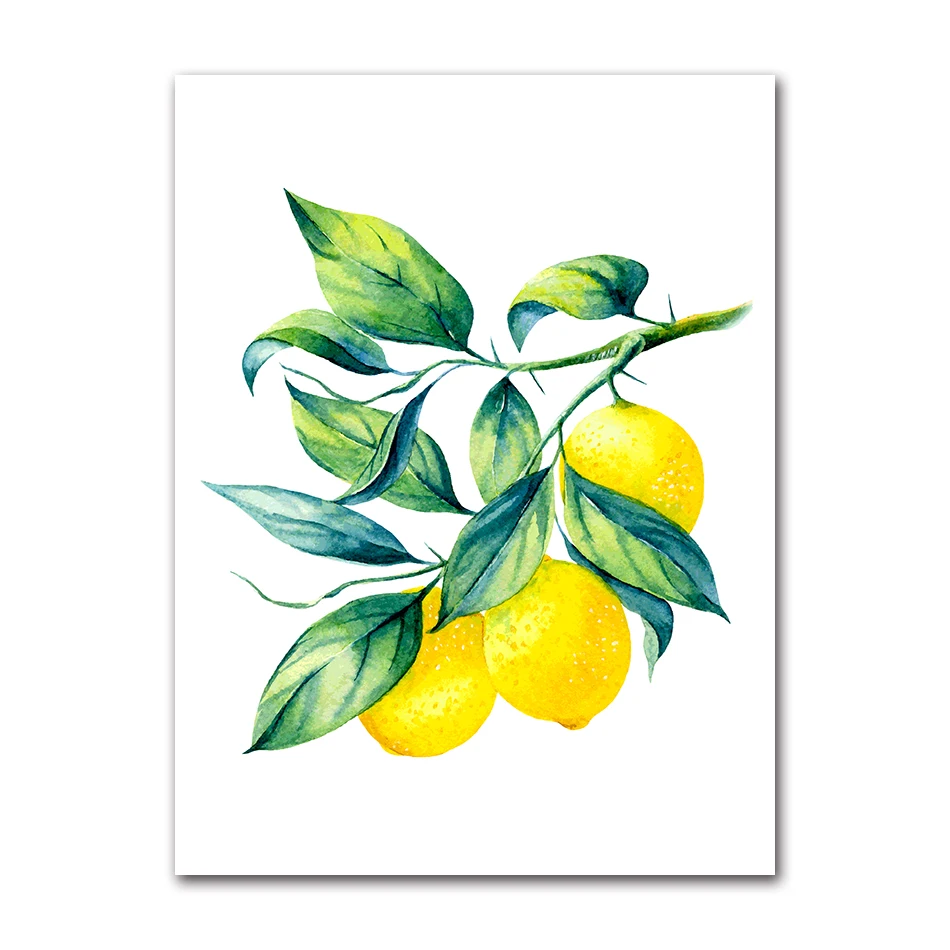 Plakat do kuchni - bonsai cytrynowe Czerwony