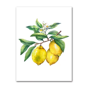 Plakat do kuchni - bonsai cytrynowe żółty