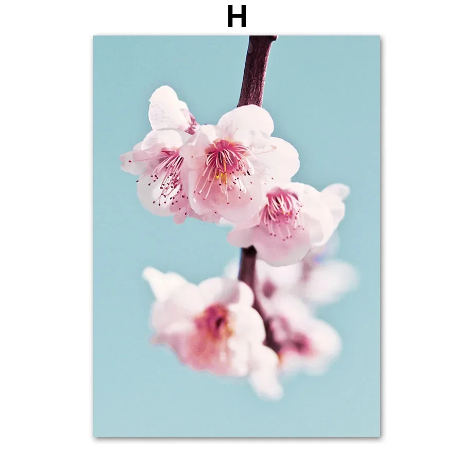 Plakat góra Fudżi i sakura - japońska grafika Niebieski