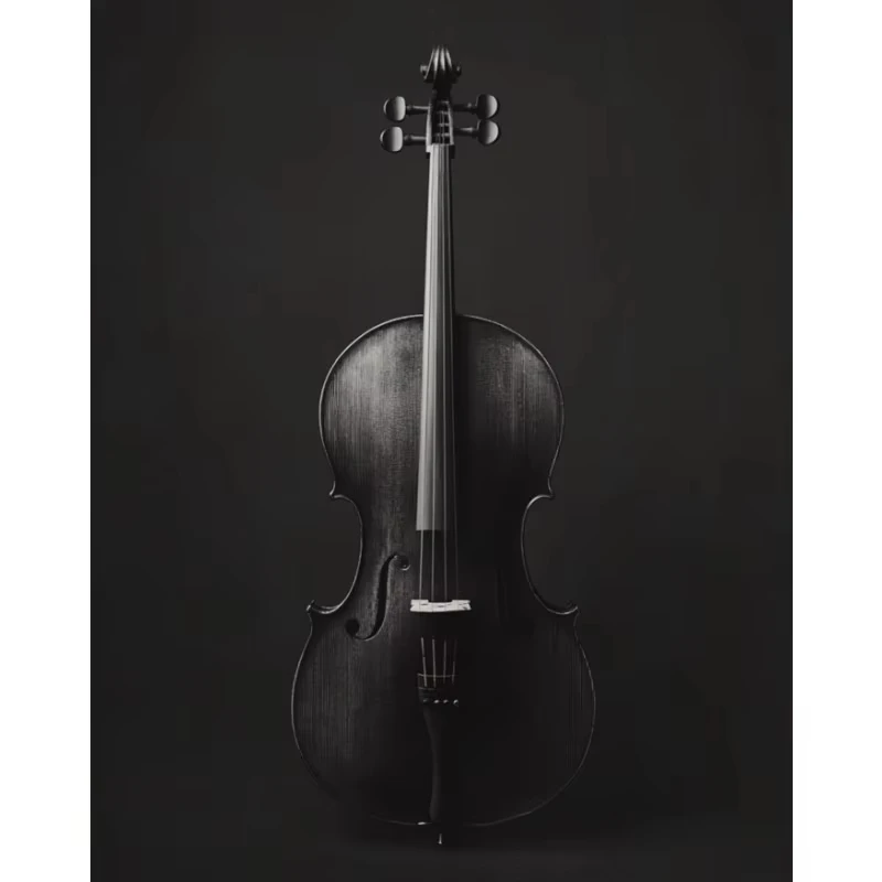 Plakat instrumenty muzyczne czarno-biały Burgundia