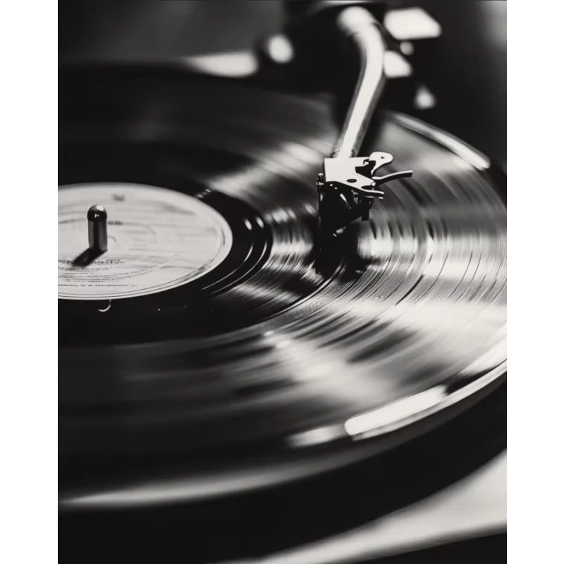 Plakat instrumenty muzyczne czarno-biały Fioletowy/фиолетовый