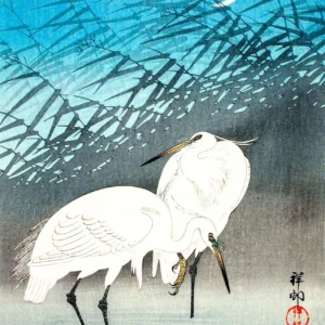 Plakat japoński ukiyo-e - złota rybka i lotos Czarny