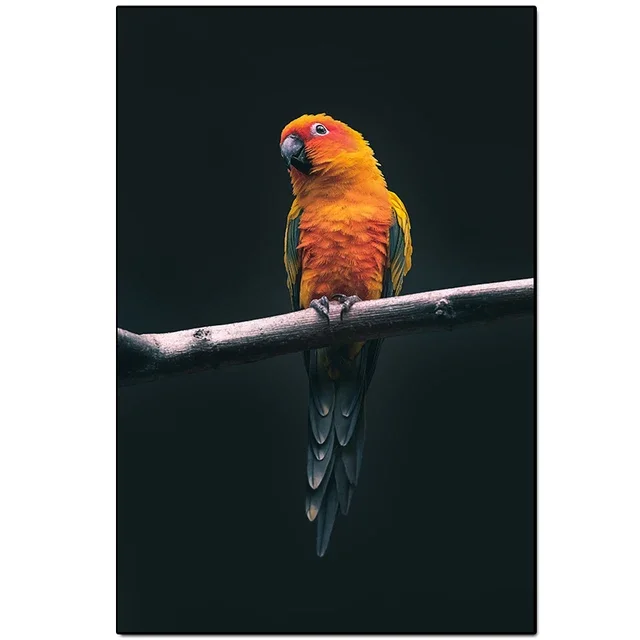 Plakat kolorowa papuga abstrakcyjna Burgundia