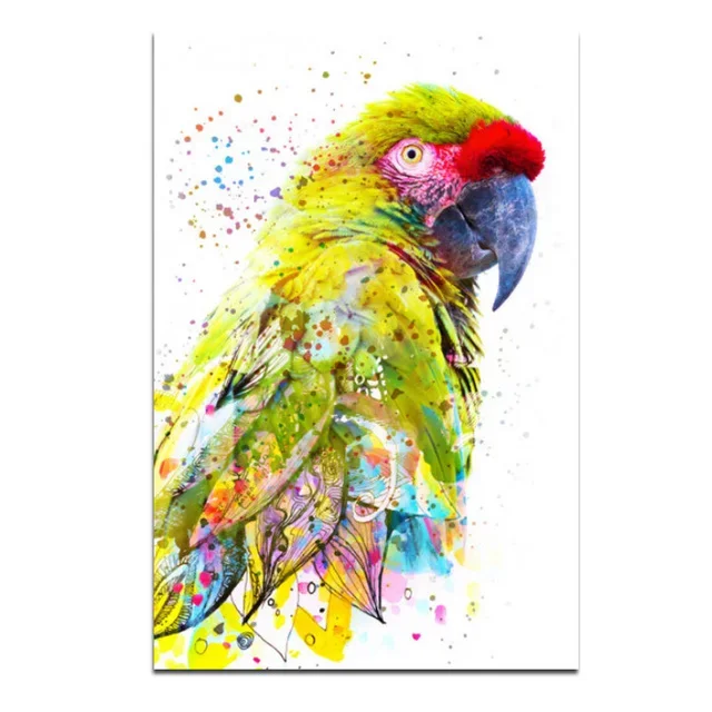 Plakat kolorowa papuga abstrakcyjna Jasnoszary