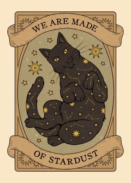 Plakat Kot Tarot Słońce i Księżyc Vintage Różowy