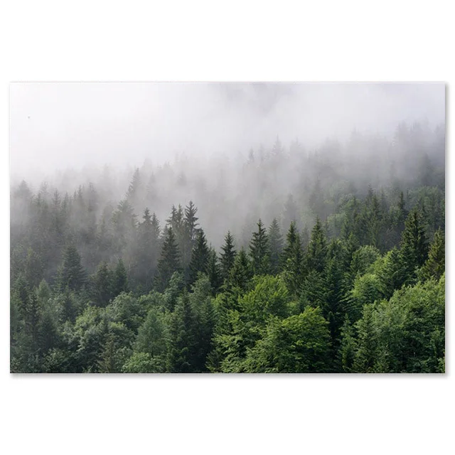 Plakat krajobraz - gorskie jezioro i las Jasny