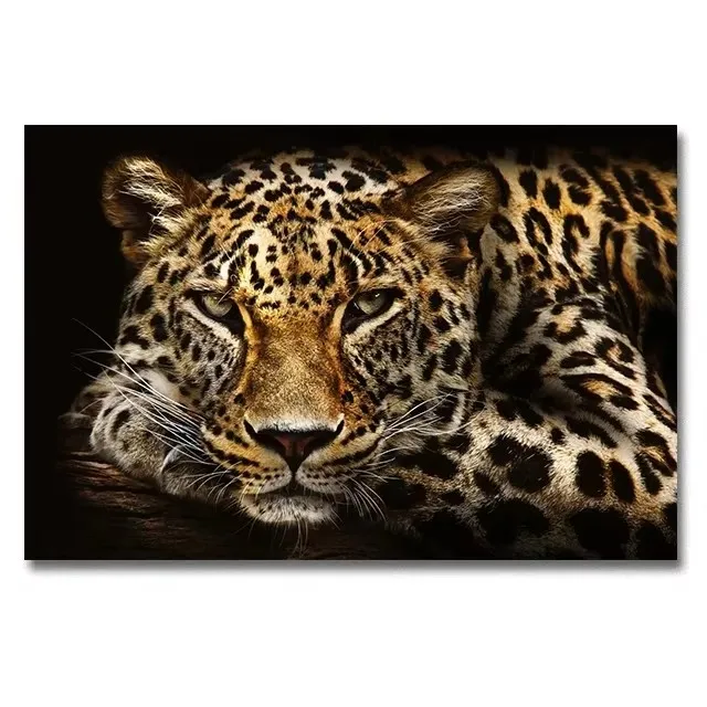 Plakat leopard afrykańskie safari retro Burgundia