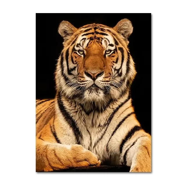 Plakat leopard afrykańskie safari retro Zielony
