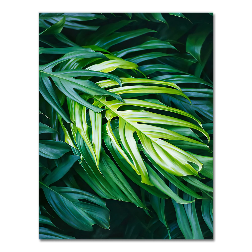 Plakat z liściem palmy monstera w stylu nordyckim Burgundia