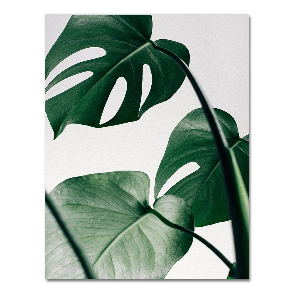 Plakat z liściem palmy monstera w stylu nordyckim Fioletowy