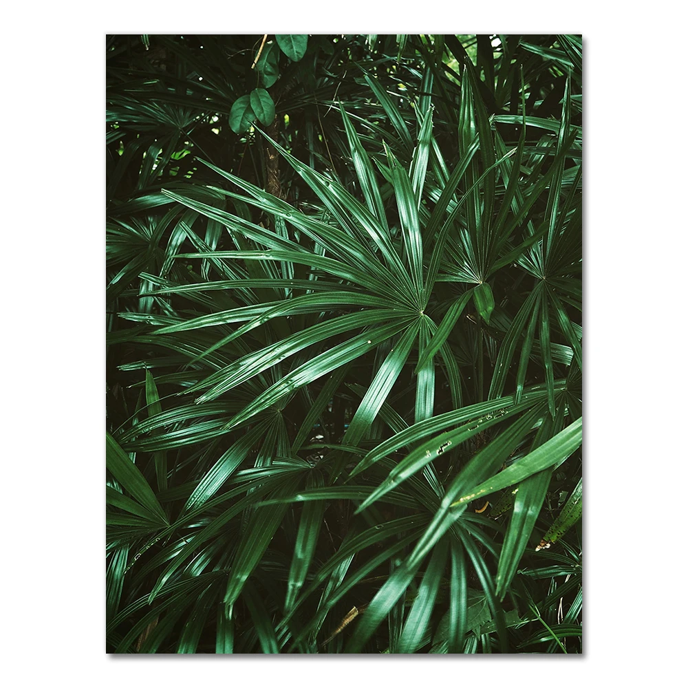Plakat z liściem palmy monstera w stylu nordyckim żółty