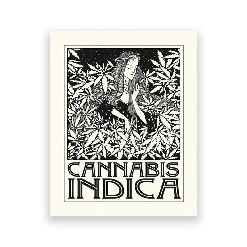 Liście konopi - plakat botaniczny czarno-biały Biały