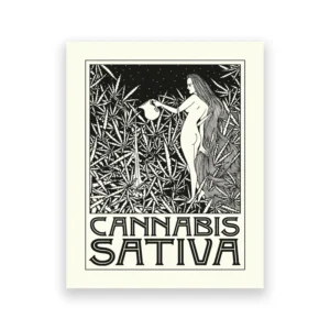 Liście konopi - plakat botaniczny czarno-biały żółty