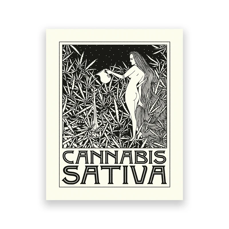 Liście konopi - plakat botaniczny czarno-biały żółty