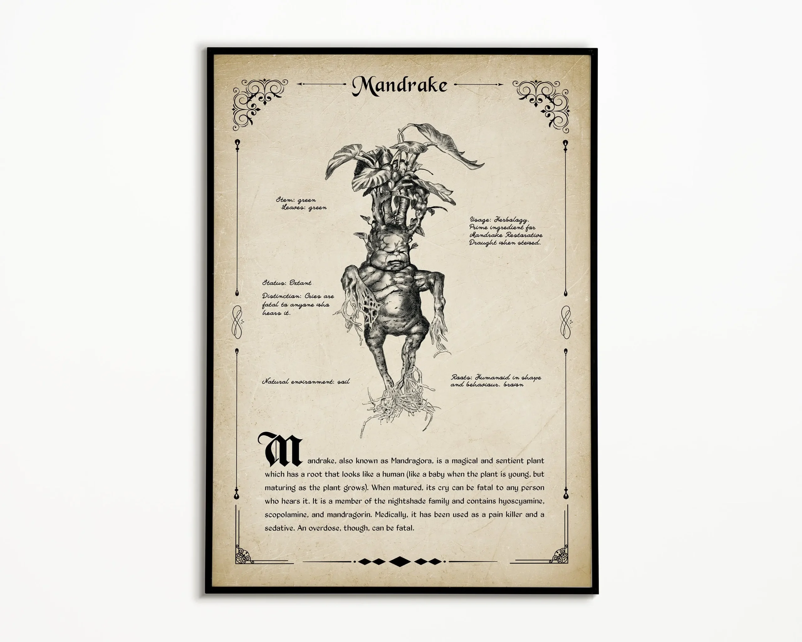 Plakat magiczne stworzenie w stylu antycznym Czerwony