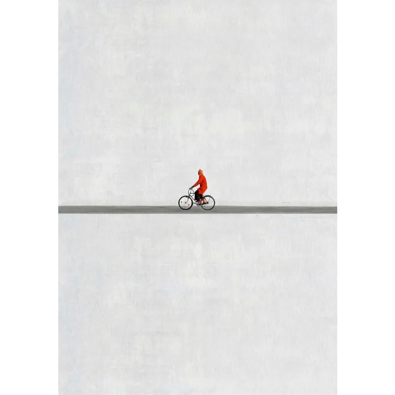 Plakat minimalistyczny fotografia sylwetki śliwka