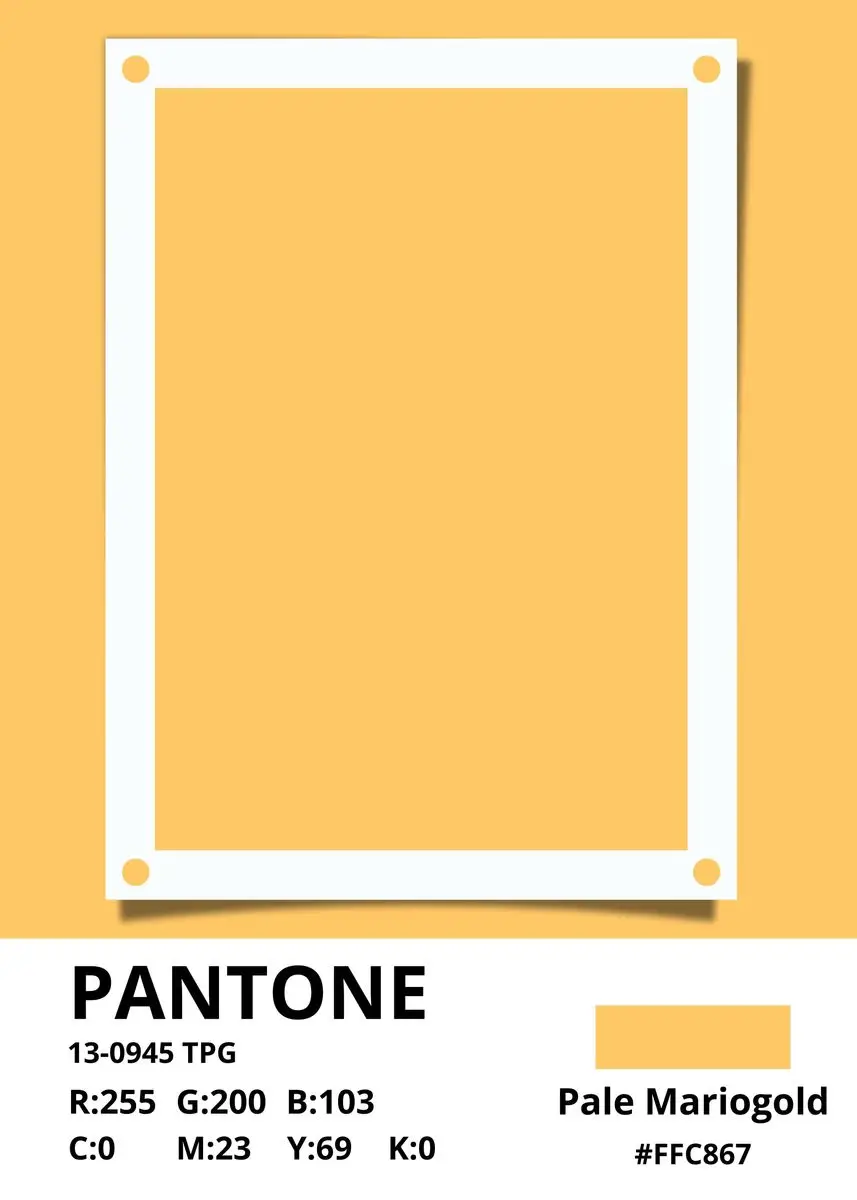 Minimalistyczne kolory w stylu skandynawskim Pomarańczowy
