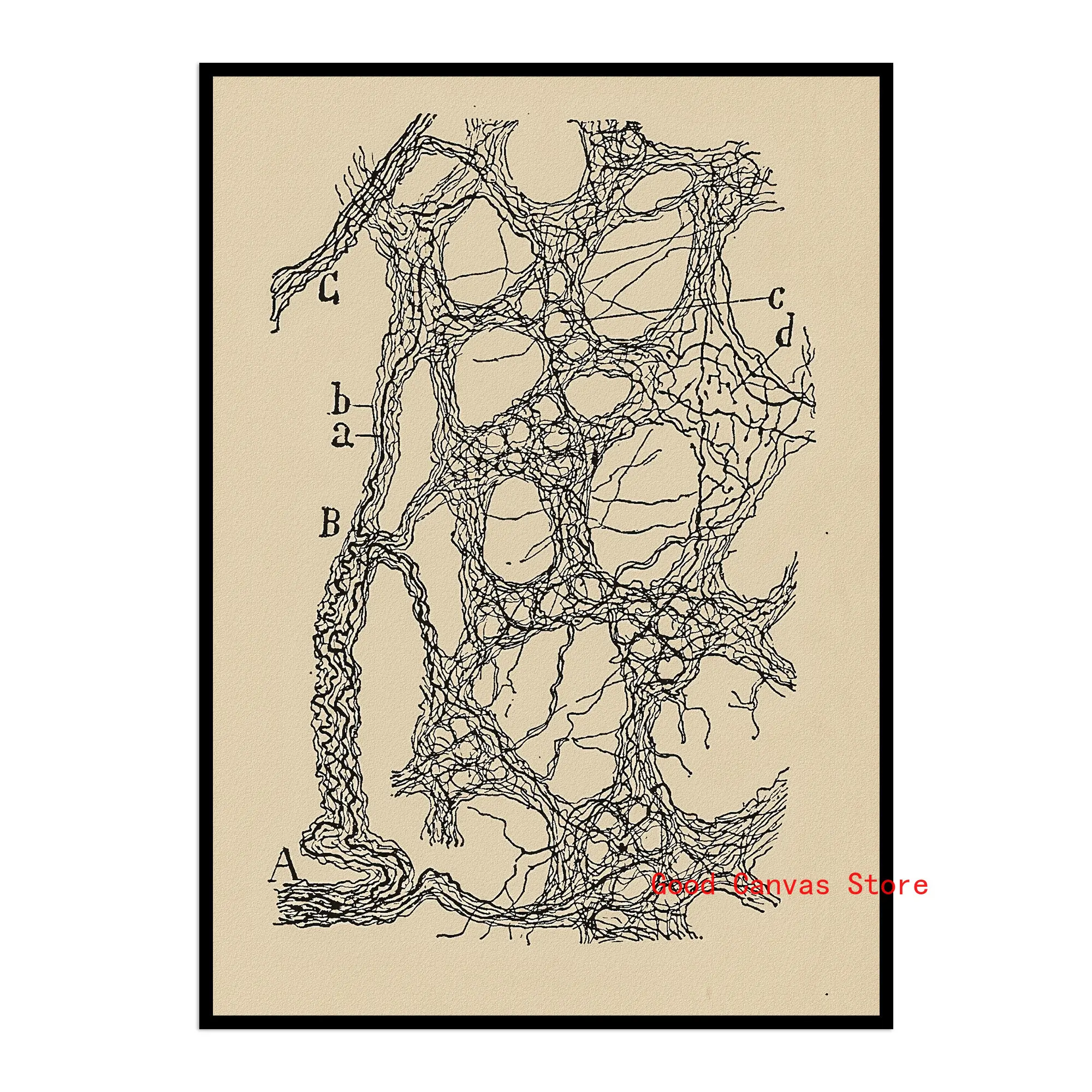 Neurony mózgu - plakat anatomiczny vintage Brązowy