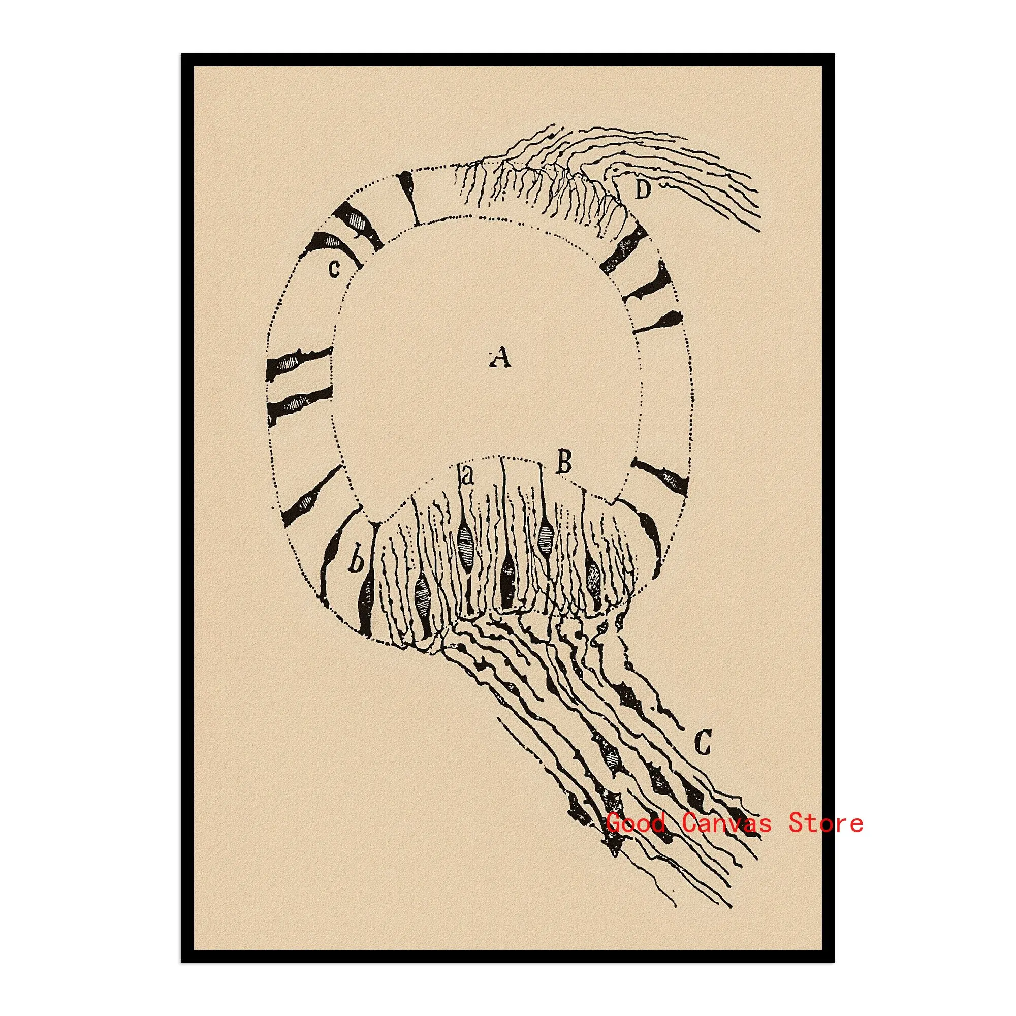Neurony mózgu - plakat anatomiczny vintage Granatowy
