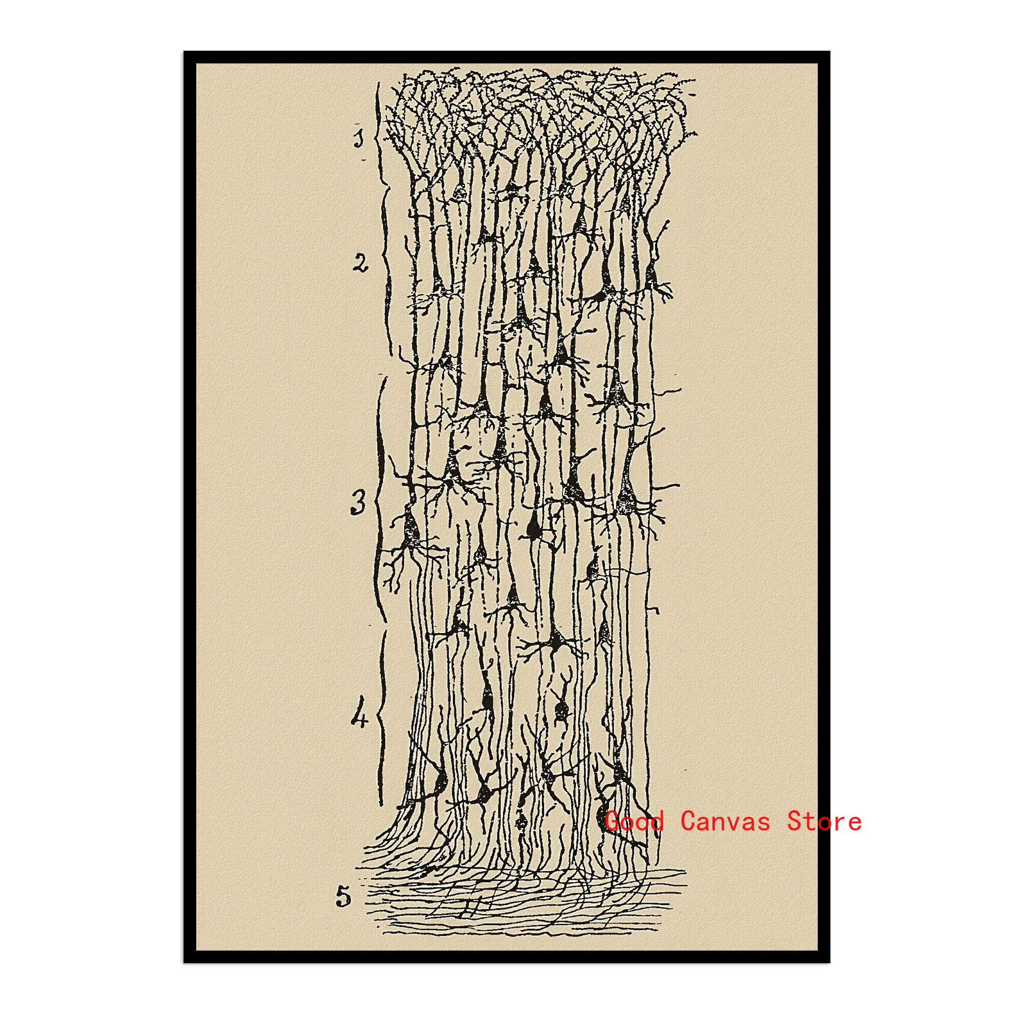 Neurony mózgu - plakat anatomiczny vintage Niebieski