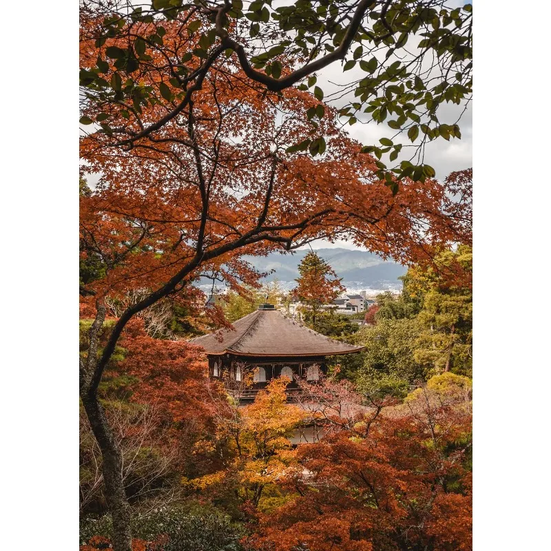 Plakat nocne Tokio japońska uliczka Czerwony