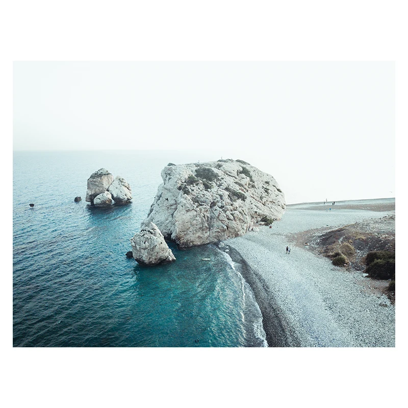 Plaża i ocean - letni plakat z żółwiem Wielo