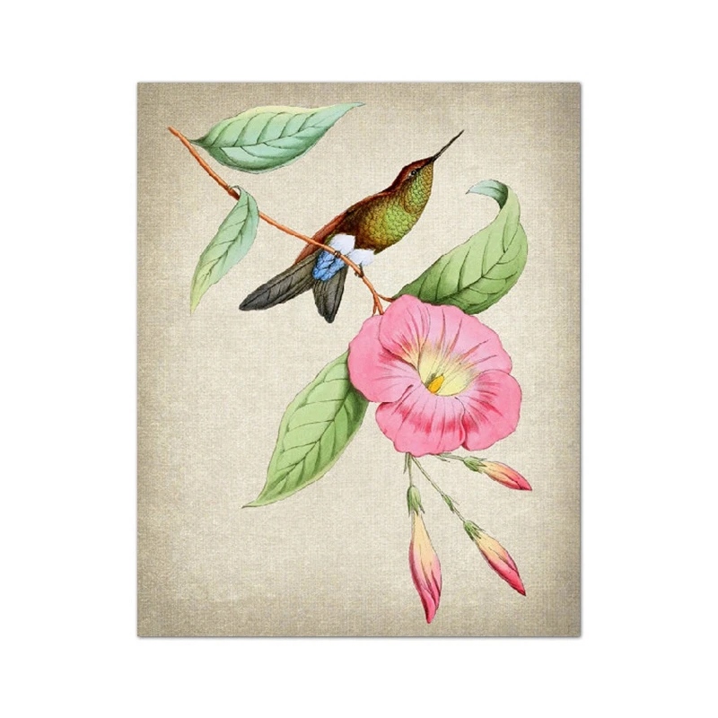 Plakat ptak tanager vintage ilustracja Burgundia