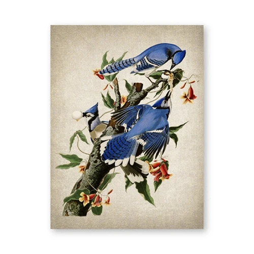 Plakat ptak tanager vintage ilustracja Jasnozielony