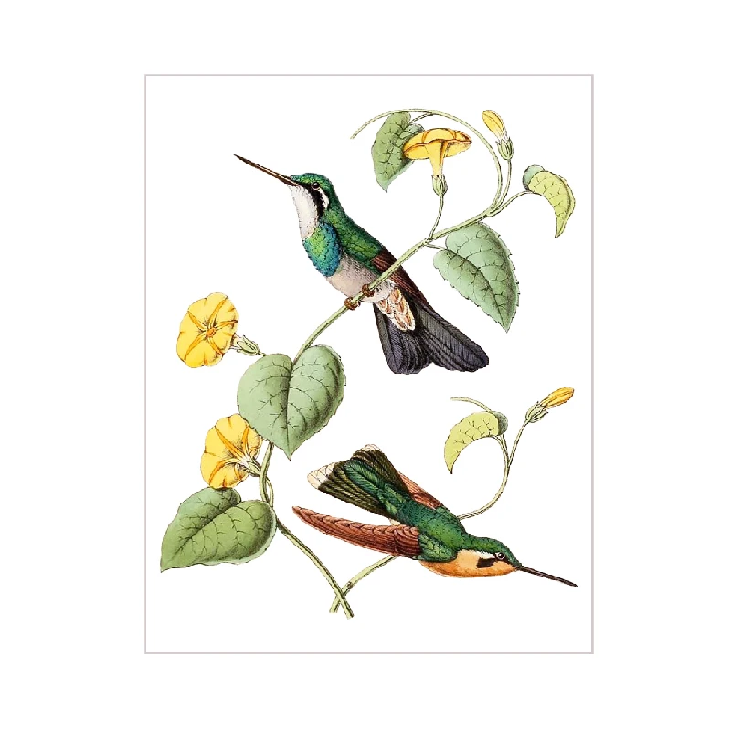 Plakat ptak tanager vintage ilustracja Zielony